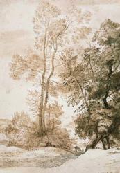 Trees and Deer, after Claude, 1825 (pen & ink with wash on paper) | Obraz na stenu