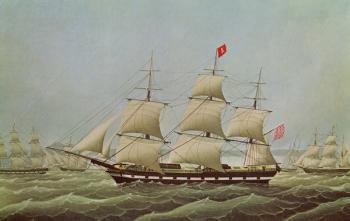 Full-rigged Ship `Bremerhaven' ex 'Rochester' (colour litho) | Obraz na stenu