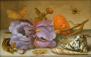 Still life depicting flowers, shells and insects (oil on copper) (for pair see 251378) | Obraz na stenu