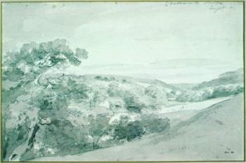 Chatsworth Park 99;landscape; monochrome; hill; hilly; | Obraz na stenu
