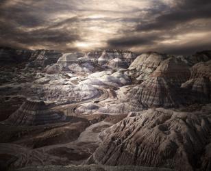 Petrified Forest, AZ | Obraz na stenu