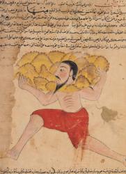 Ms E-7 fol.212a Giant Carrying Mountains, from 'The Wonders of the Creation and the Curiosities of Existence' by Zakariya'ibn Muhammed al-Qazwini (gouache on paper) | Obraz na stenu