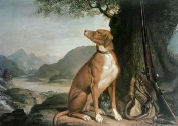 G. M. Johnston's favourite gun dog in a landscape | Obraz na stenu