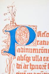 Facsmile of a page with illuminated capital 'P' from the 1459 edition of Fust and Schoiffer's Latin psalter, from 'The National and Domestic History of England' by William Hickman Smith Aubrey (1858-1916) published London, c.1890 (colour litho) (detail) ( | Obraz na stenu