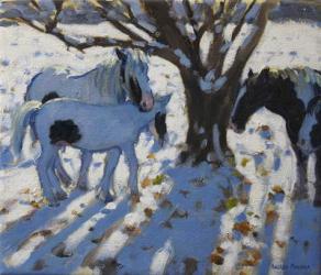 Skewbald Ponies in Winter, 2012 (oil on canvas) | Obraz na stenu