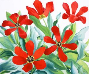 Madame Lefeber Tulips 2 (watercolour on paper) | Obraz na stenu