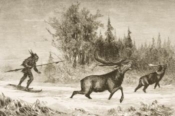 A Native American Moose hunting in the North Western Territory, c.1880 (litho) | Obraz na stenu