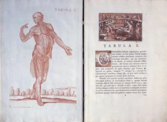 The Flagellation of Jesus Christ (woodcut) (b/w photo) | Obraz na stenu