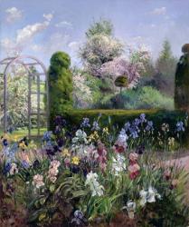 Irises in the Formal Gardens, 1993 | Obraz na stenu