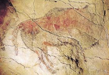 Bison from the Caves at Altamira, c.15000 BC (cave painting) | Obraz na stenu