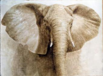 Elephant, 2004 (acrylic on paper) | Obraz na stenu
