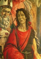 St. John the Baptist, detail from the Altarpiece of St. Barnabas c.1487 (tempera on panel) | Obraz na stenu
