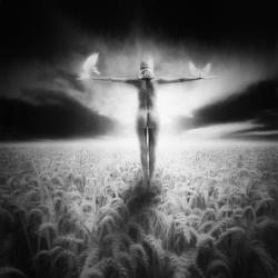 Learning To Fly, 2014, (Direct Print on Brushed Aluminium, BUTLERFINISH® Look) | Obraz na stenu