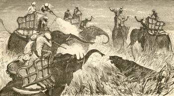 Hunters mounted on elephants, during a tiger hunt in India in the 19th century. From El Museo Popular published Madrid, 1889 | Obraz na stenu