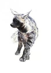 Striped Hyaena Pup, 2010, (conté and pastel on paper) | Obraz na stenu