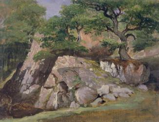 A View of the Valley of Rocks near Mittlach (oil on paper) | Obraz na stenu