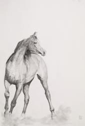 Moving Image, Series 1, 2012 (graphite on paper) | Obraz na stenu