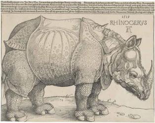 The Rhinoceros, 1515 (woodcut) | Obraz na stenu
