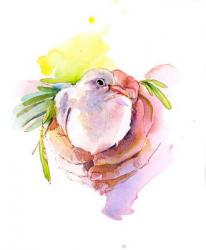 Dove of Peace, 2016, (watercolor) | Obraz na stenu