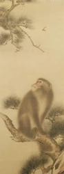 Monkey watching a dragonfly (ink on paper) | Obraz na stenu