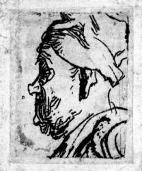 Old man with a snub nose, c.1629 (etching) | Obraz na stenu