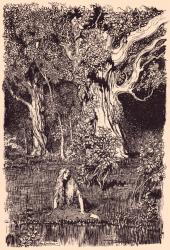 There she sat and would have remained sitting a long time if there had not been a rustling and cracking in the boughs of the nearest tree. Illustration by Arthur Rackham from Grimm's Fairy Tale The Goose Girl at the Well. | Obraz na stenu