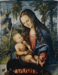 Madonna under the fir tree, c.1510 (oil on panel) | Obraz na stenu