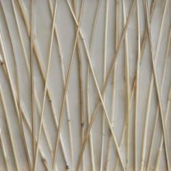 Still, 2010, grass stalks embedded in wax | Obraz na stenu