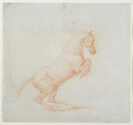 A Prancing Horse, facing right, 1790 (red chalk on paper) | Obraz na stenu