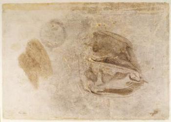 Study for the robes of the Erythraean Sibyl (charcoal with white highlights & brown wash on paper) | Obraz na stenu
