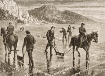 Ice-Harvest on the Hudson River, New York State, c.1870, from 'American Pictures', published by The Religious Tract Society, 1876 (engraving) | Obraz na stenu