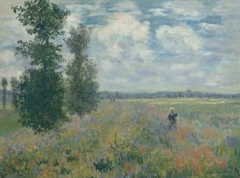 Poppy Fields near Argenteuil, 1875 (oil on canvas) | Obraz na stenu
