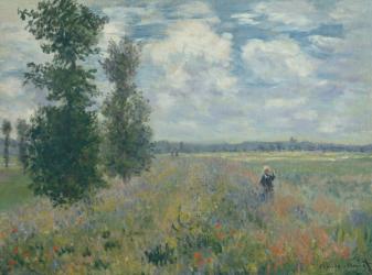 Poppy Fields near Argenteuil, 1875 (oil on canvas) | Obraz na stenu