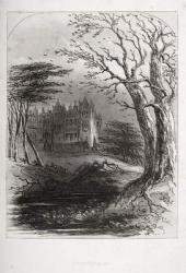 Frontispiece from 'Bleak House' by Charles Dickens (1812-70) published 1853 (litho) | Obraz na stenu