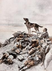 A trained dog working with the Red Cross standing by a survivor of a German attack and barking to draw attention to their position. From La Esfera, 1914. | Obraz na stenu