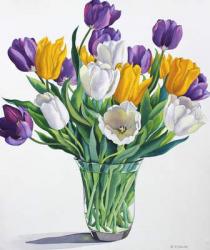 Tulips in Glass Vase (watercolour on paper) | Obraz na stenu