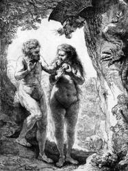 Adam and Eve, 1638 (etching) | Obraz na stenu