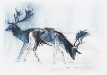 Fallow Bucks, Richmond, 2006 (charcoal & conte on paper) | Obraz na stenu