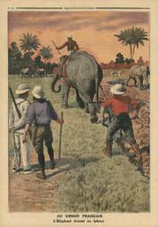 In French Congo, elephant trained to ploughing, illustration from 'Le Petit Journal', supplement illustre, 15th January 1911 (colour litho) | Obraz na stenu