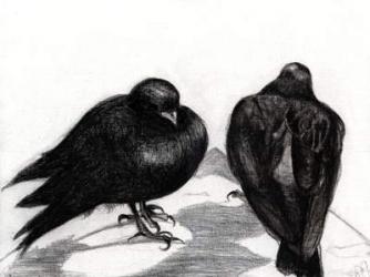 Serious Pigeon Situation, 2012, (charcoal on paper) | Obraz na stenu