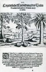 Landscape, Illustration from 'India Orientalis', 1598 (engraving) | Obraz na stenu