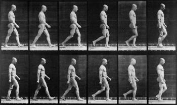 Man walking, from 'Animal Locomotion', 1887 (b/w photo) | Obraz na stenu