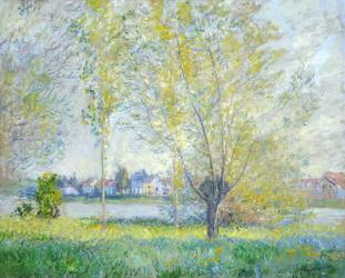 Willows at Vetheuil, 1880 (oil on canvas) | Obraz na stenu