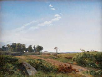 Zealand Landscape. Open Country in North Zealand, 1842 (oil on canvas) | Obraz na stenu