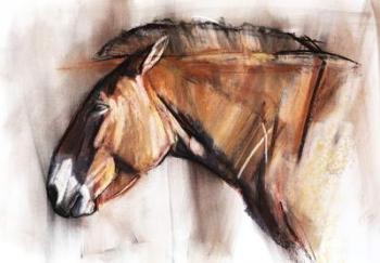 Resting Horse, 2013, (pastel and charcoal on paper) | Obraz na stenu