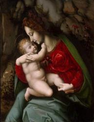 Madonna and Child, c.1520 (oil and gold on wood) | Obraz na stenu