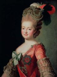 Portrait of Maria Fyodorovna (1759-1828) (oil on canvas) | Obraz na stenu