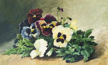 Winter Pansies, 1884 (w/c on paper) | Obraz na stenu