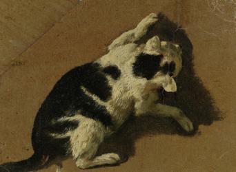 Cat playing (brush drawing) | Obraz na stenu