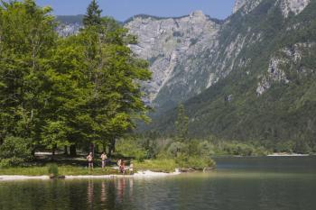 Lake Bohinj: athers enjoying a dip in the lake, Triglav National Park, Upper Carniola, Slovenia (photo) | Obraz na stenu